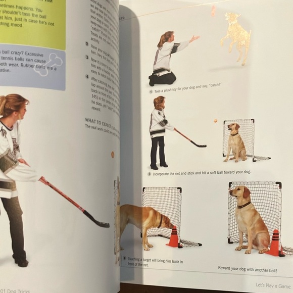 101 Dog Tricks Book: step by step activities to engage, challenge and bond - Picture 13 of 16